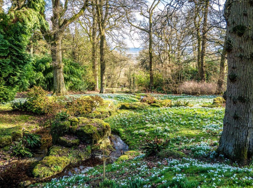 Batsford Arboretum and Garden Centre , United Kingdom